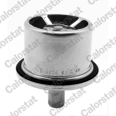 Thermostat, coolant